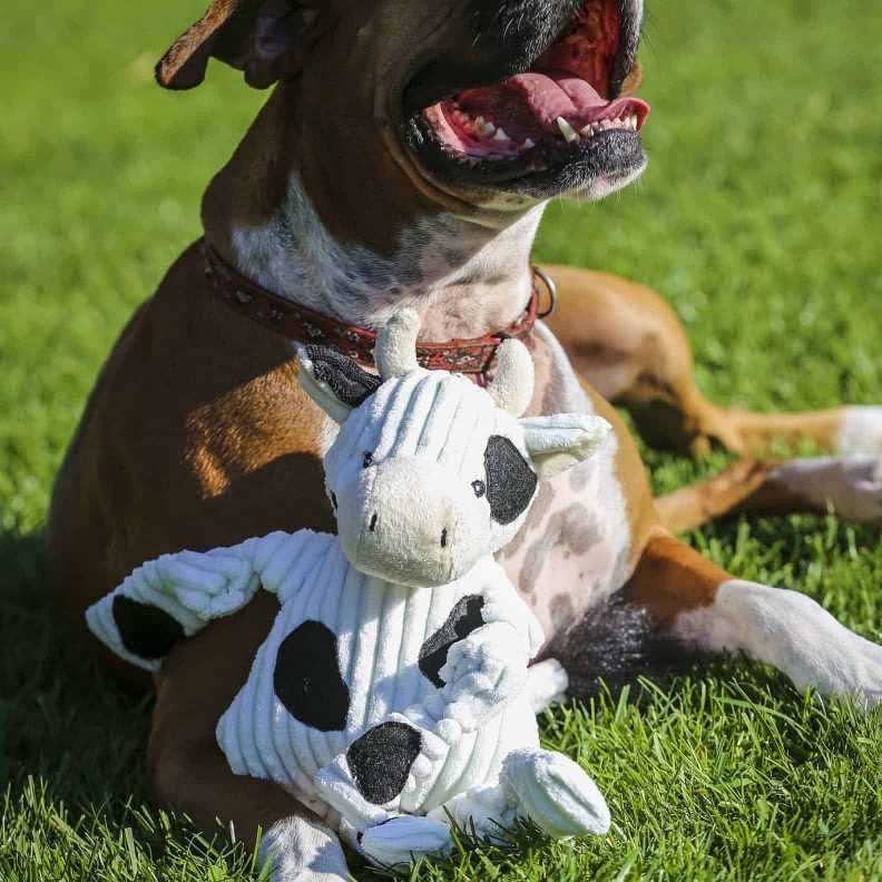 Ruff-Tex Dog Toy F549