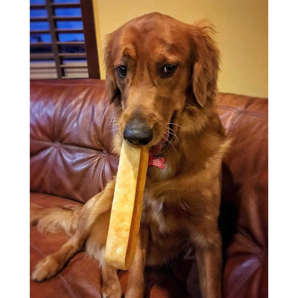 Dog Chew B22734