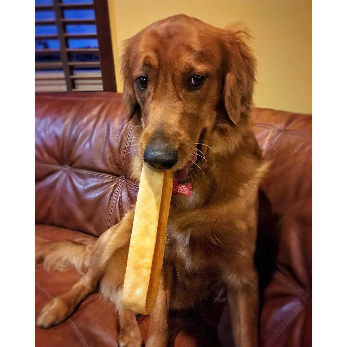 Dog Chew B22734