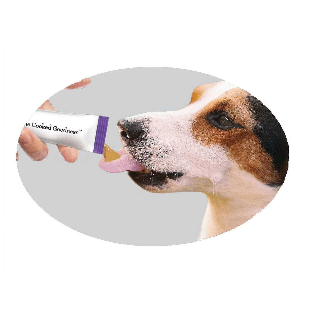 Peanut Butter Dog Treats G808