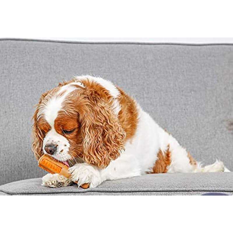 Chicken Flavored Dog Treat & Chew Toy W39518