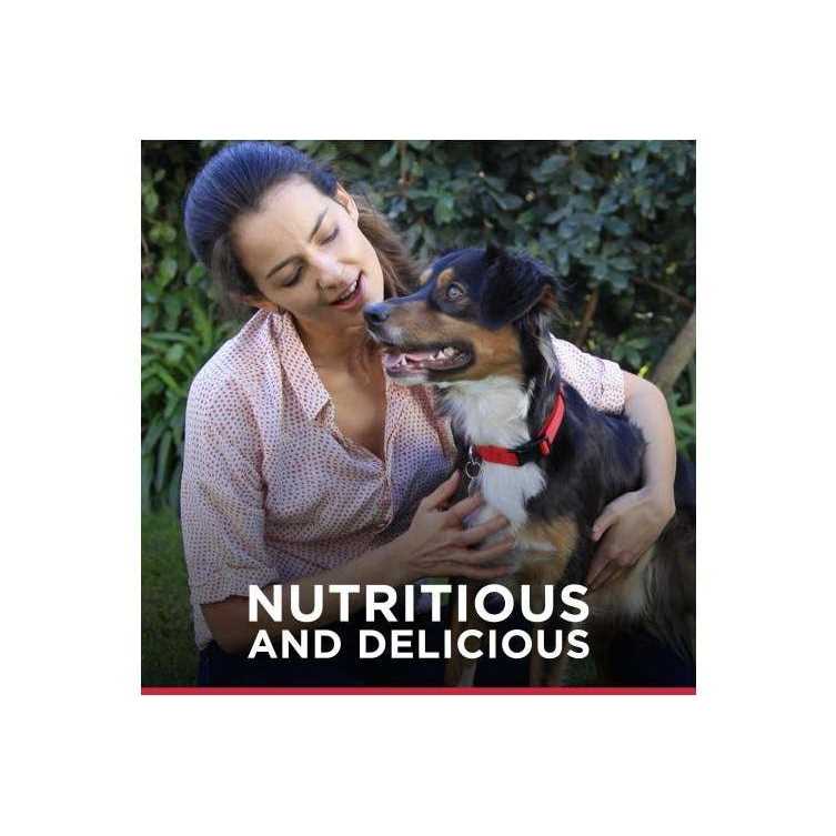 Jerky Dog Treats T88414