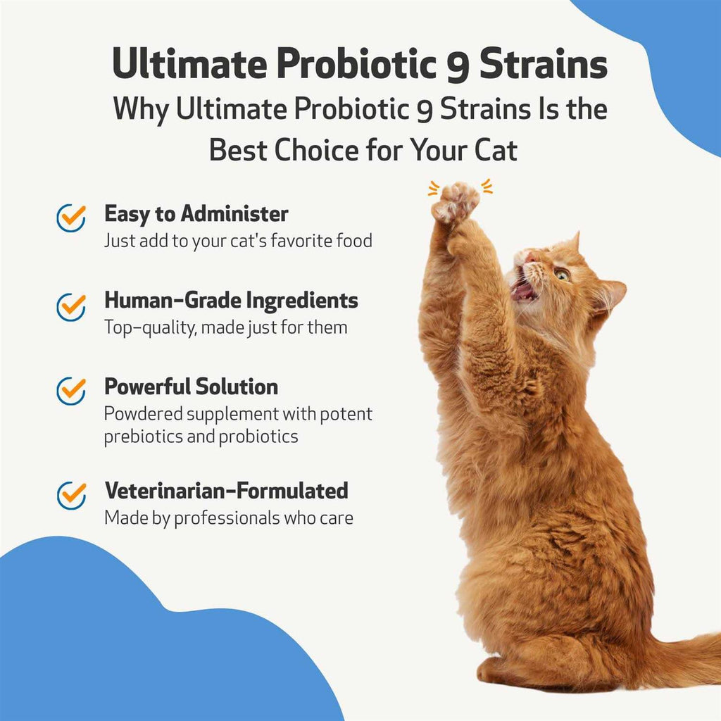 Probiotic 9 Strains for Dogs & Cats B12237