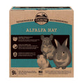 Alfalfa Hay Z89085