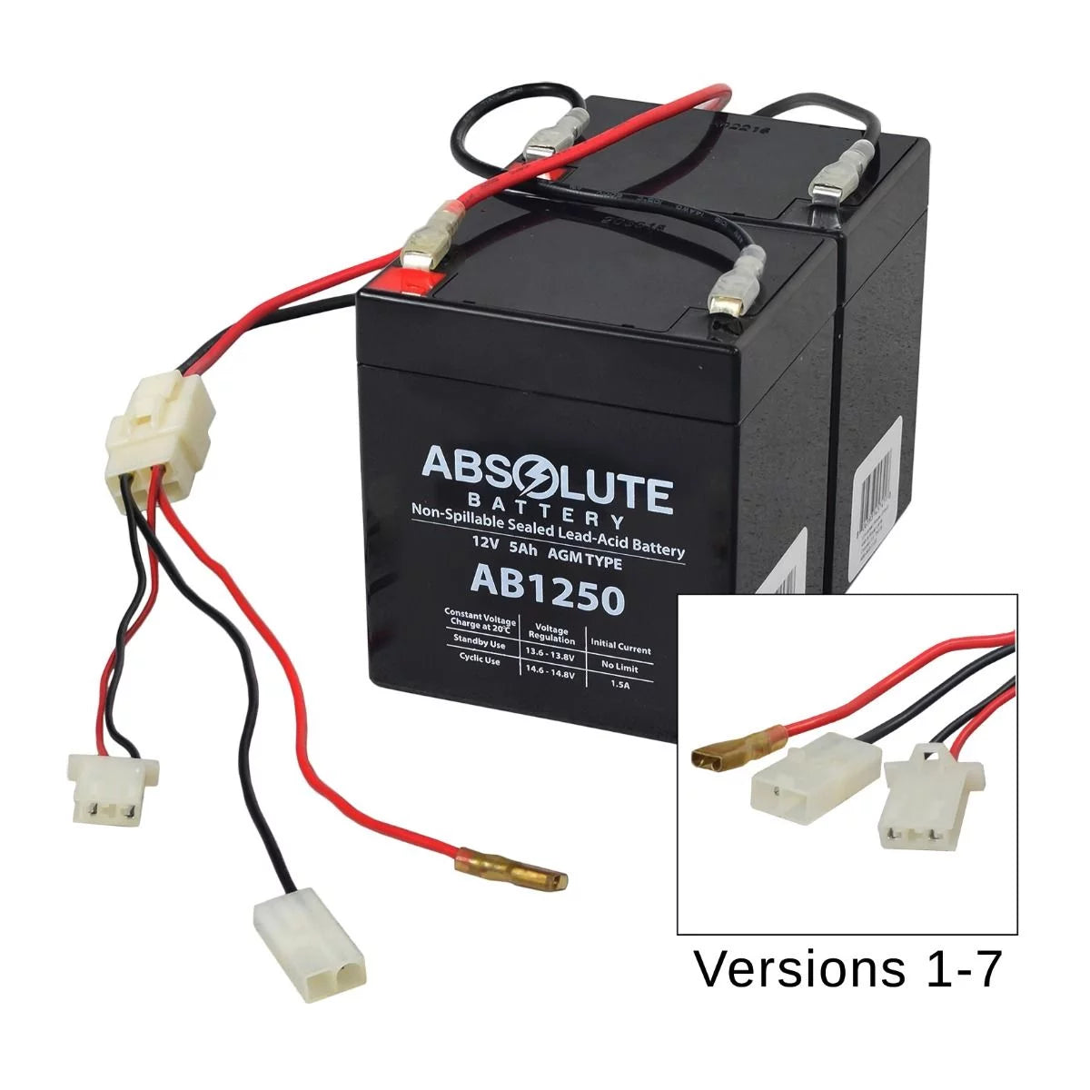 24 Volt Battery Pack V1075