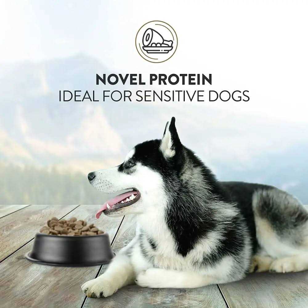 Dry Dog Food T545797