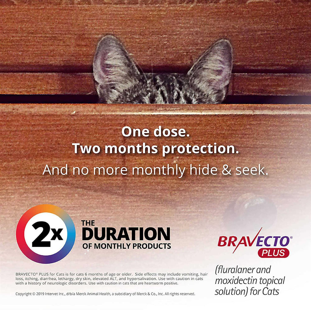 Topical Solution for Cats H39191