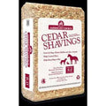 Western Cedar Shavings O8619