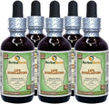 Organic Dried Flowers Alcohol-Free Liquid Extract 5x2 fl.oz I7507