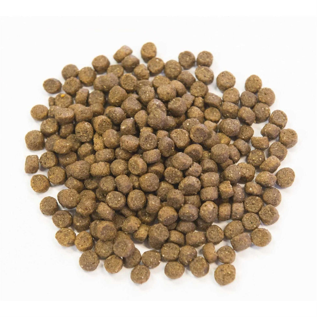 Chicken Meal & Pork Meal Recipe with Ancient Grains Dog Food U836275