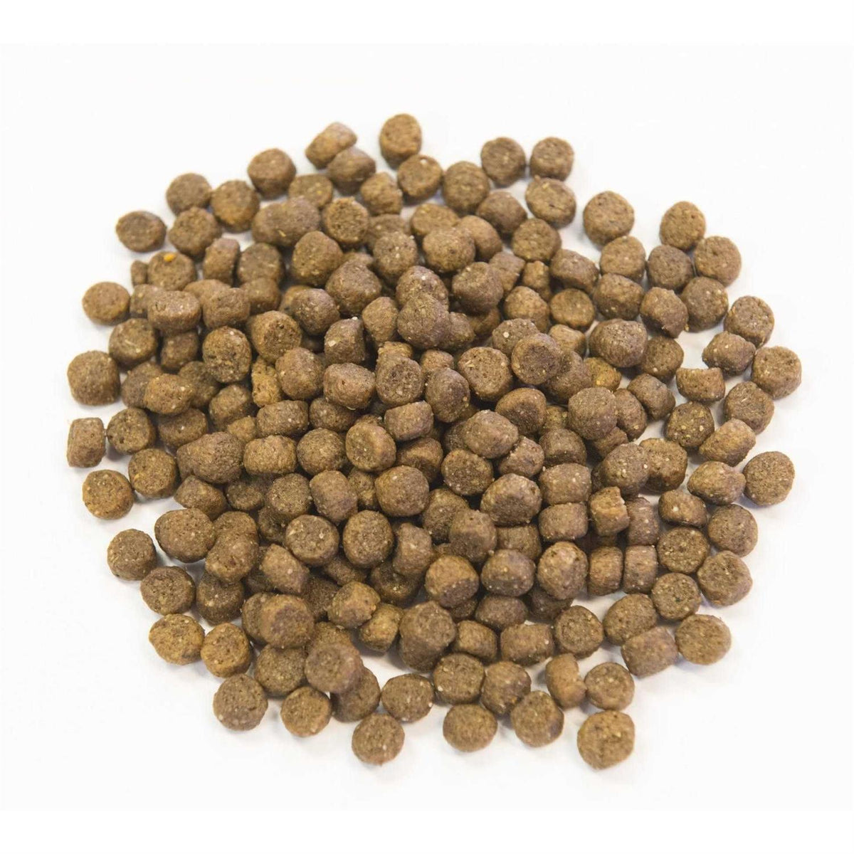 Chicken Meal & Pork Meal Recipe with Ancient Grains Dog Food U836275