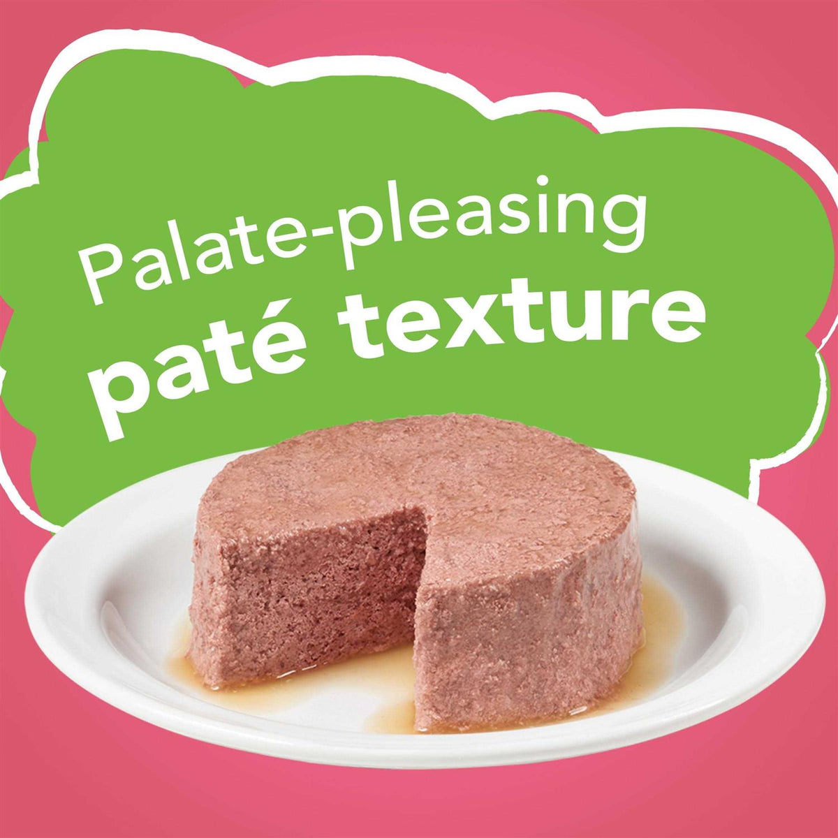 Salmon Pate Wet Cat Food O982