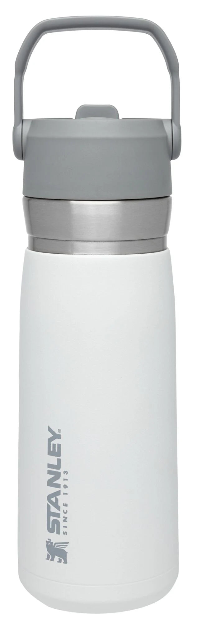 22 oz Insulated Stainless Steel Water Bottle with Straw and Flip-Top Lid E7960