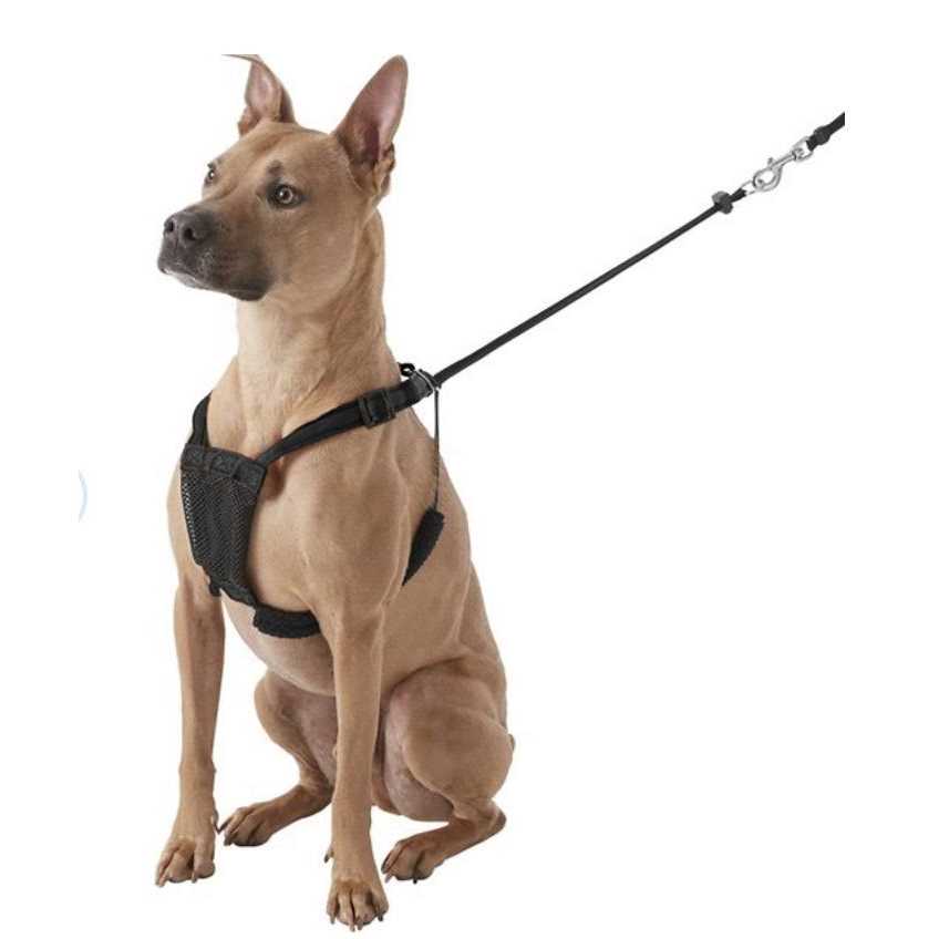 Dog Harness M7497