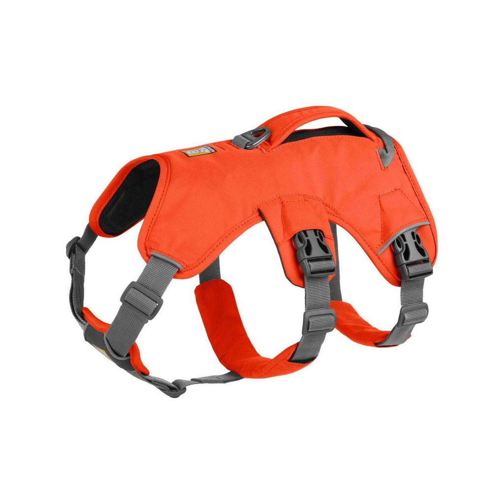 Harness X18545