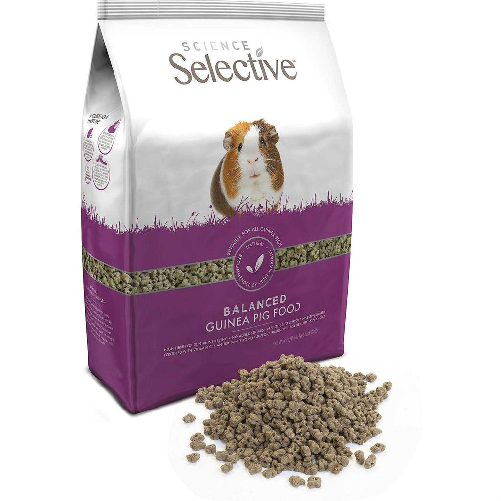 Guinea Pig Food B87923