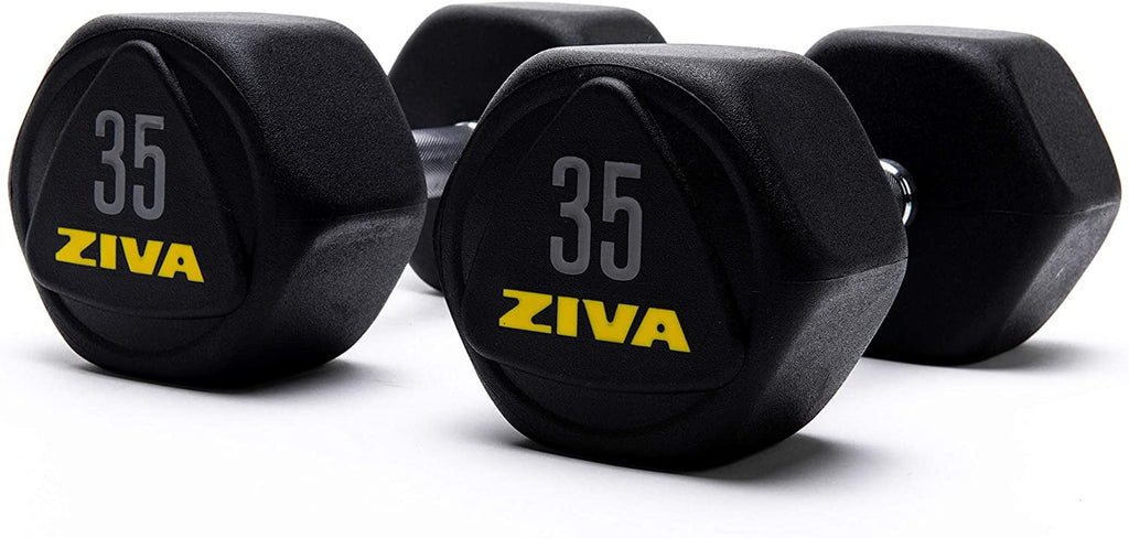 20 Lbs Urethane Rubber Hex Dumbbells J172