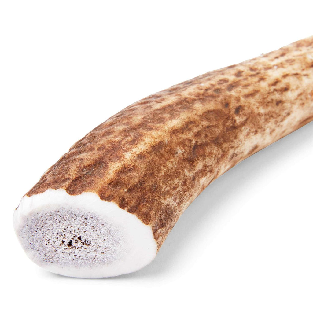 Large Whole Elk Antler Dog Chew U153