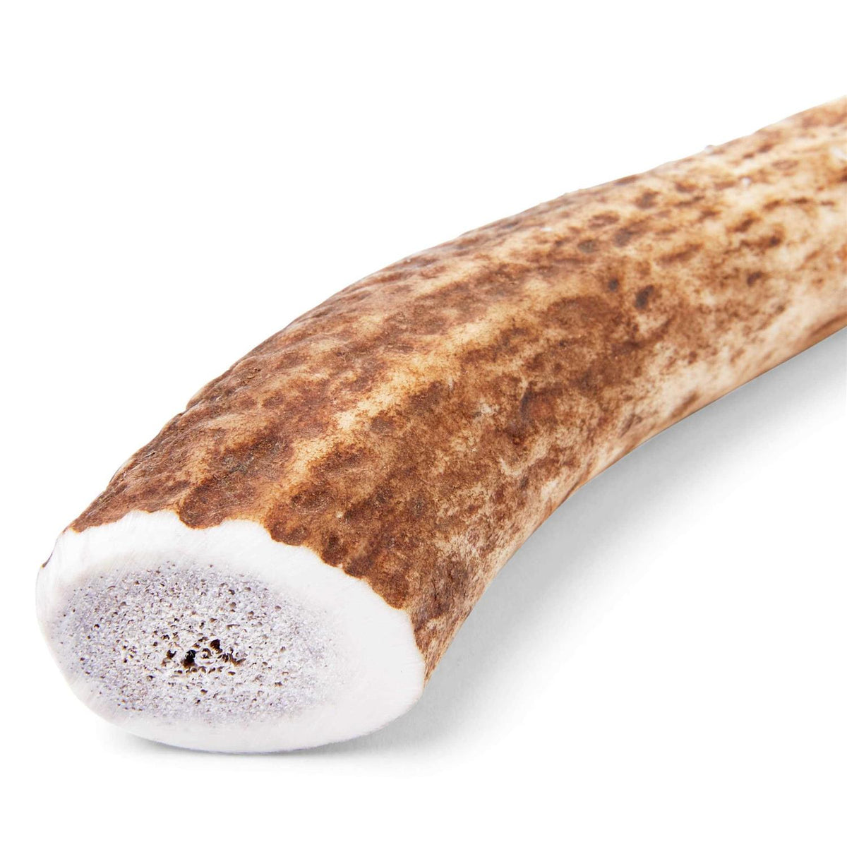 Large Whole Elk Antler Dog Chew U153