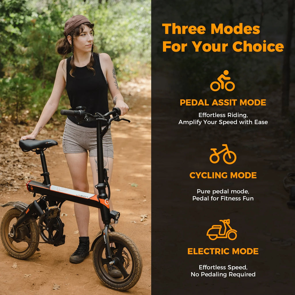 350W Folding Electric Bike with 270Wh Battery S99779