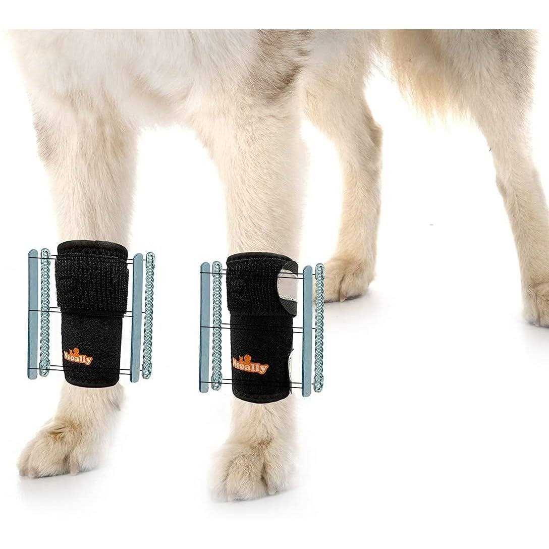 3-in-1 Dog Front Leg Support Brace O9247