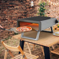 Portable Propane Gas Outdoor Pizza Oven A259