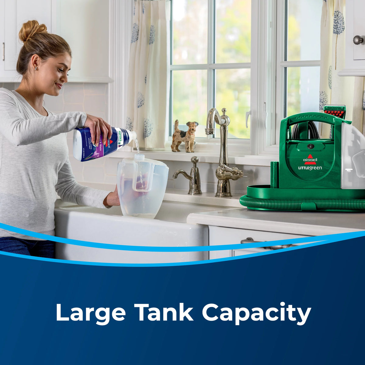 Portable Spot and Stain Cleaner S329