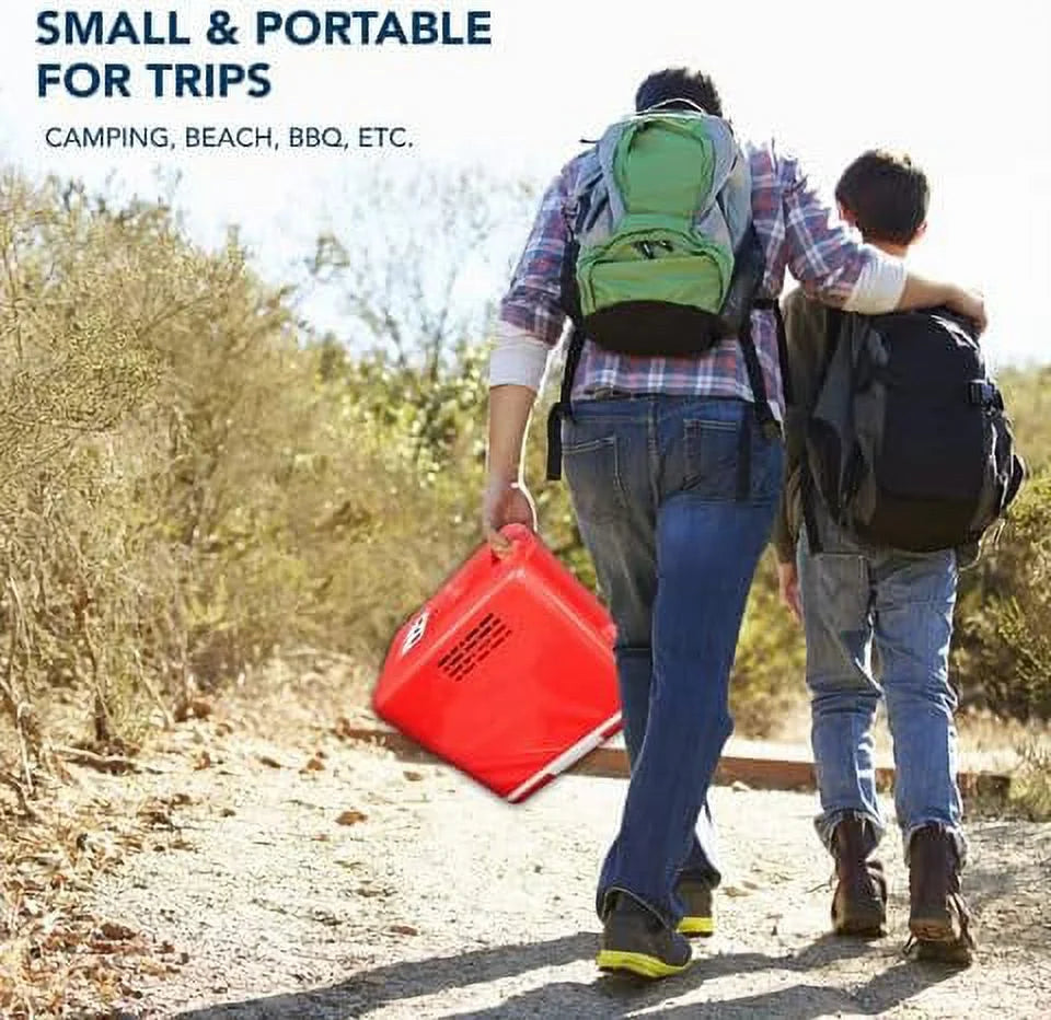 4 Liter 6 Can Capacity Mini Fridge with Bluetooth Speaker C687868