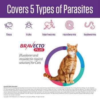 Topical Solution for Cats H39191