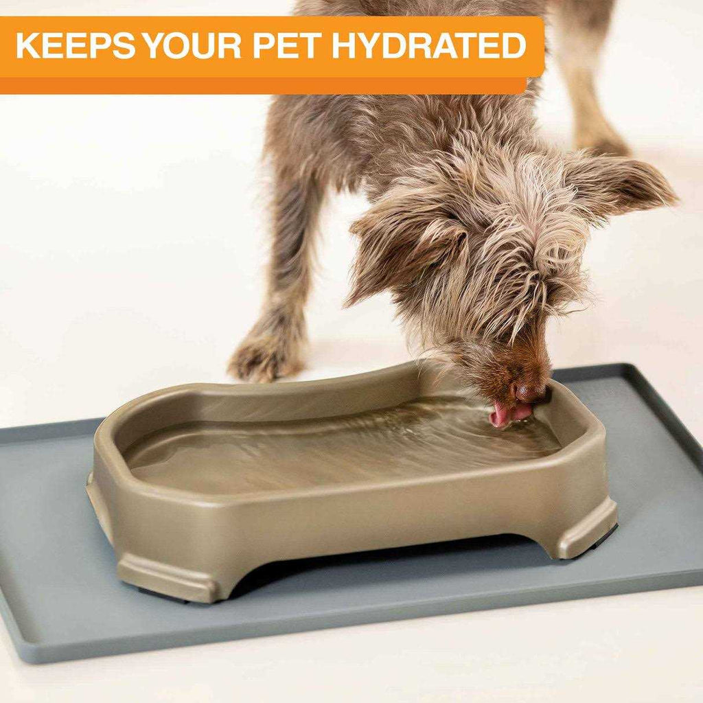 Dog Water Bowl with Leg Extensions N392746