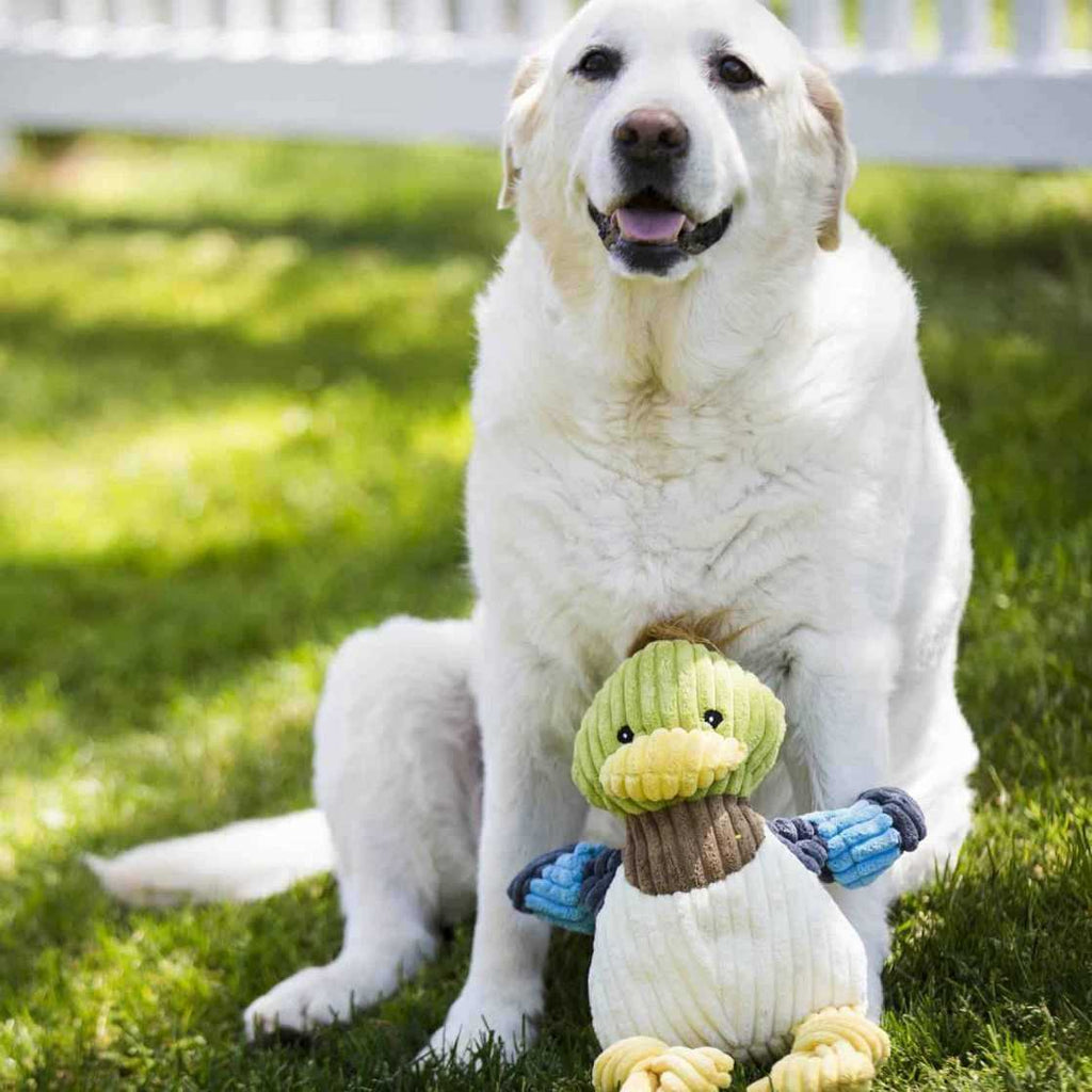 Ruff-Tex Dog Toy F549