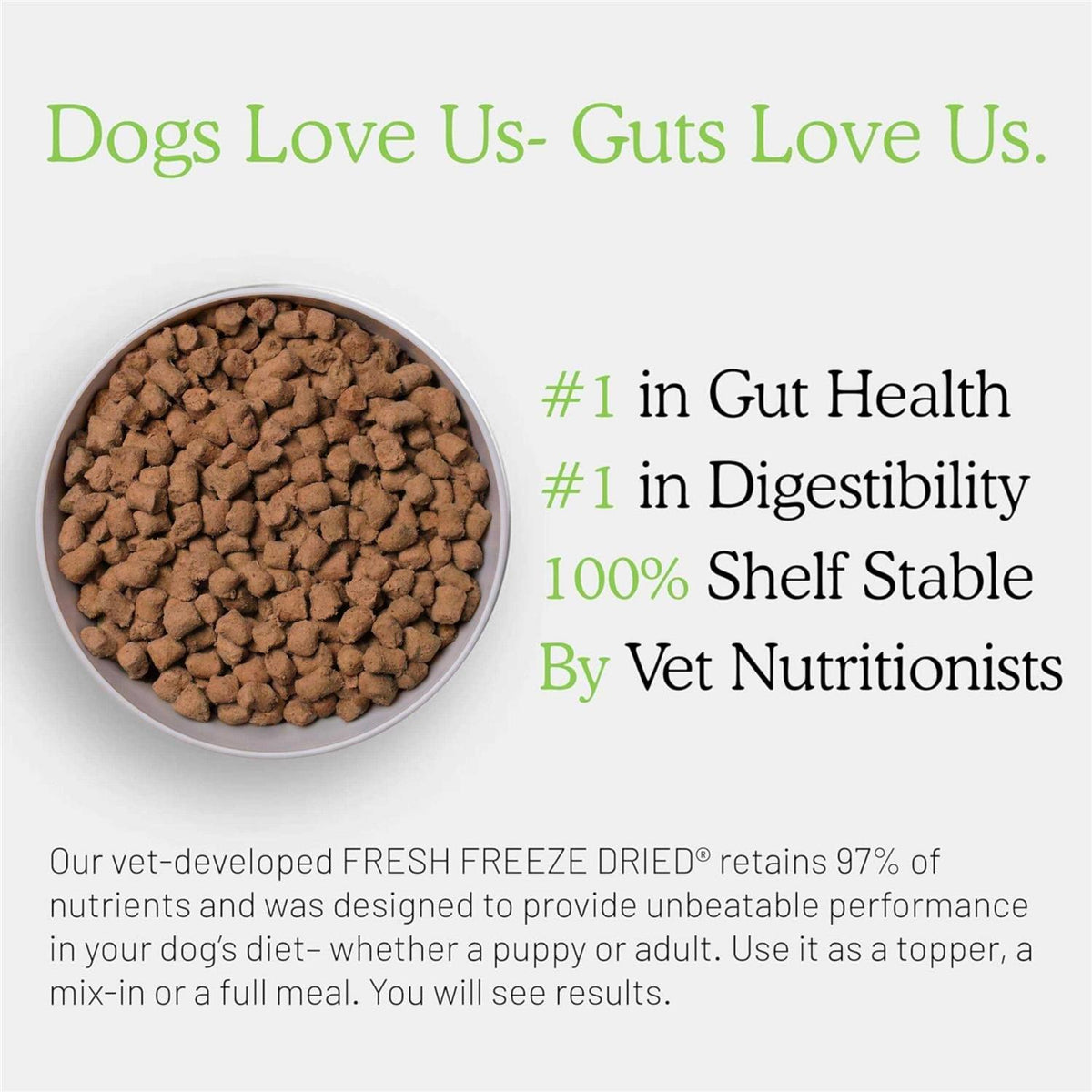 Freeze Dried Raw Beef Dog Food R134165