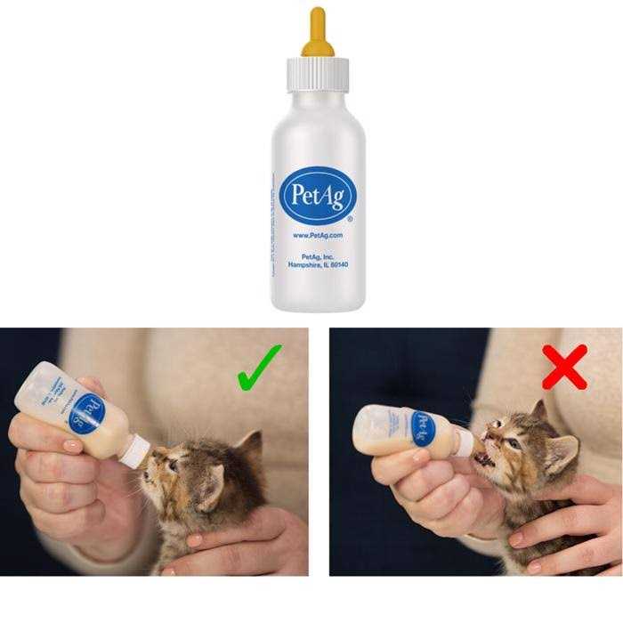 Nurser Bottle B61465