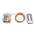 Warm White Copper Wire Lights with Remote L1309
