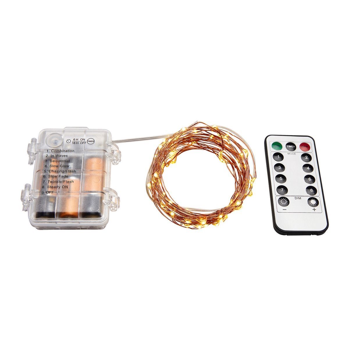 Warm White Copper Wire Lights with Remote L1309