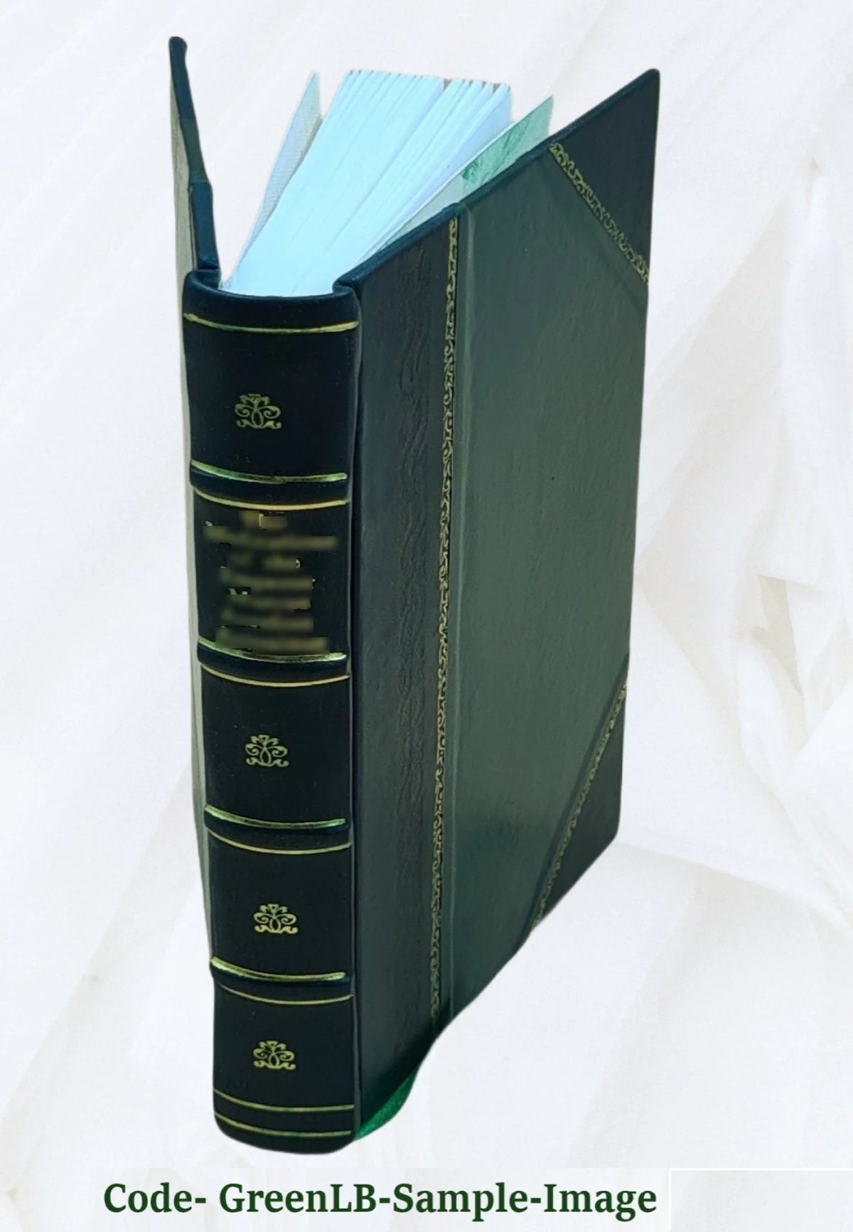 City of Rochester Common Council Proceedings 1908 Leather Bound C6154