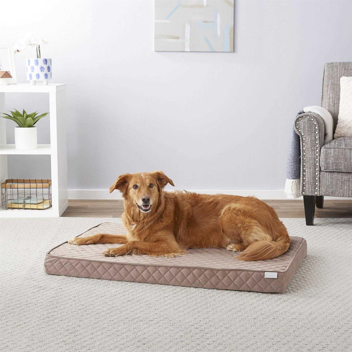 Quilted Orthopedic Cat Dog Bed with Removable Cover Z38168