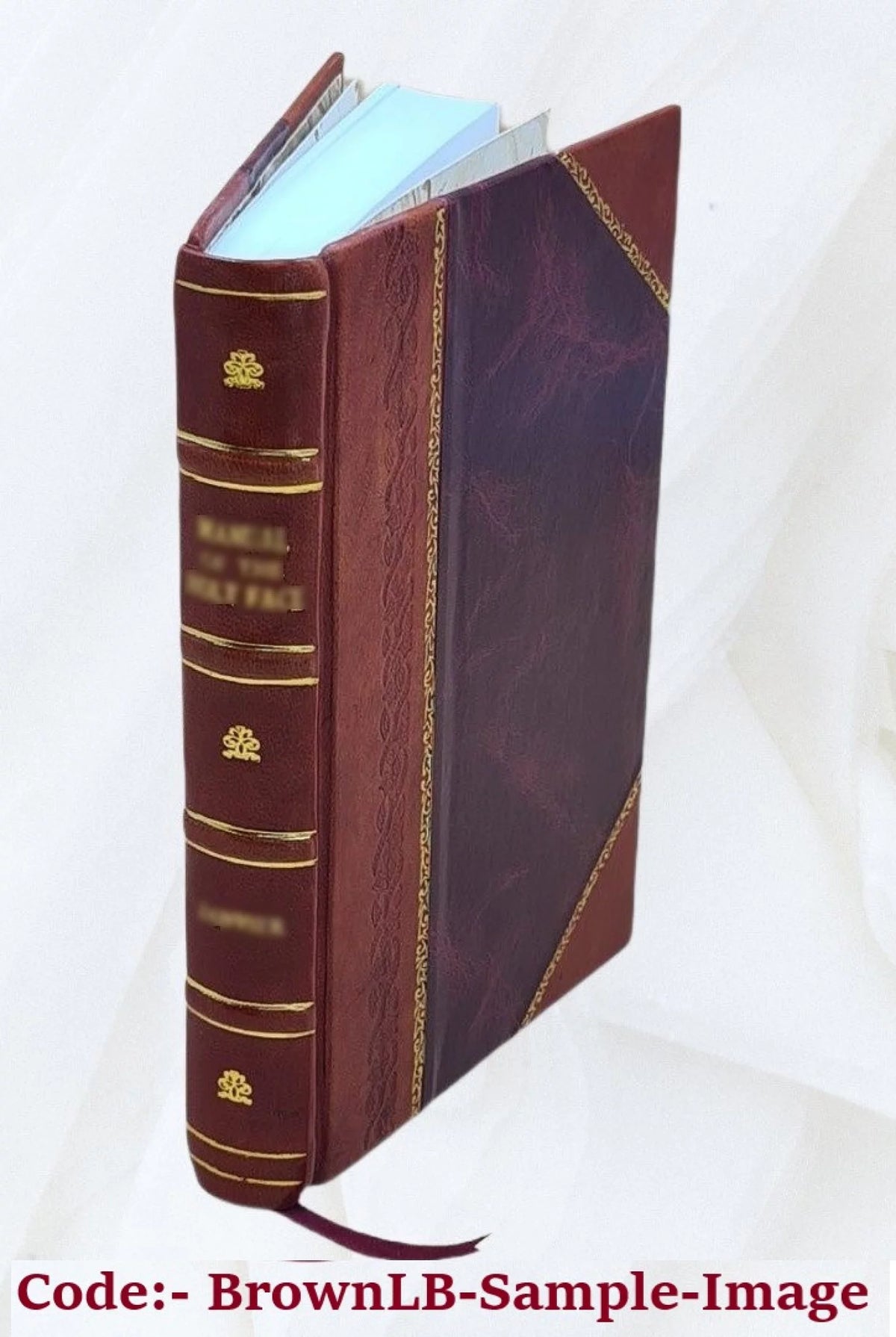 City of Rochester Common Council Proceedings 1908 Leather Bound C6154