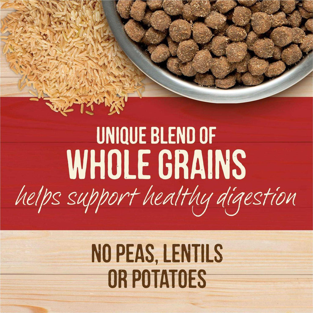Healthy Grains Freeze Dried Raw Coated Dry Dog Food I99830