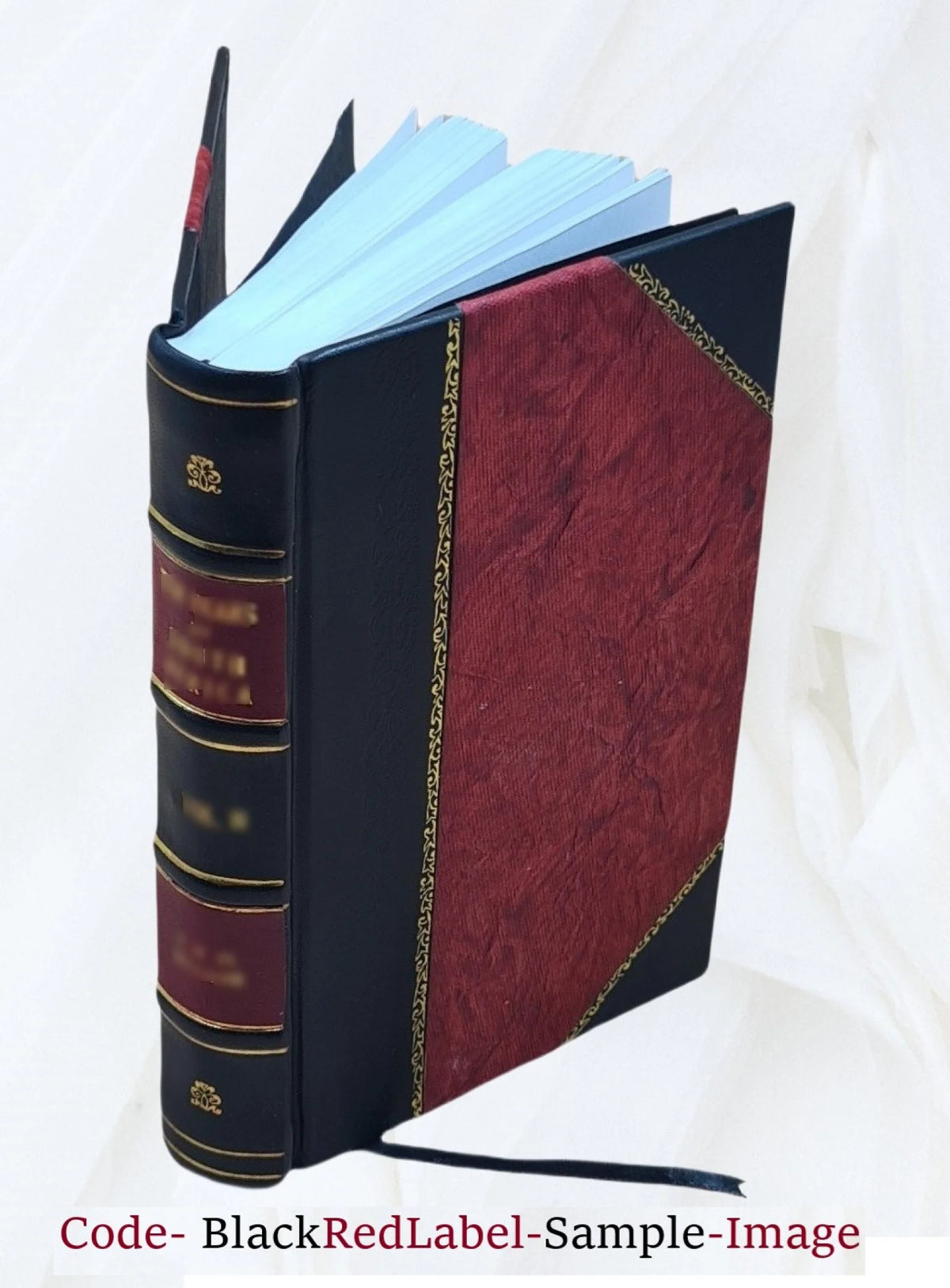 City of Rochester Common Council Proceedings 1908 Leather Bound C6154