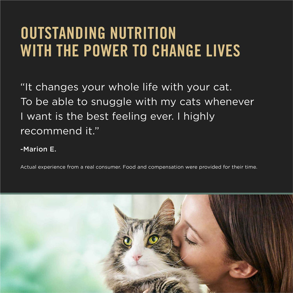 Chicken & Rice Dry Cat Food I431189